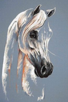 Портрет на коне