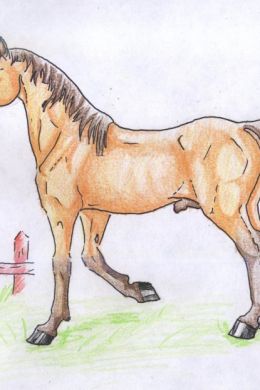 Лошадь рисунок детский