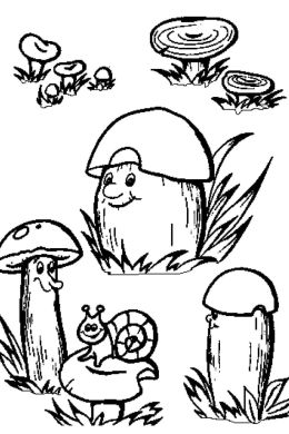 Раскраска грибы в лесу