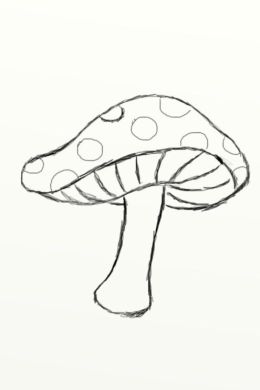 Рисунок гриба карандашом