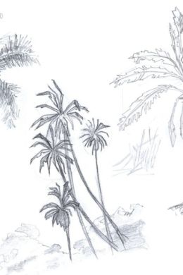 Пальмы рисунок карандашом