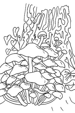 Раскраски гриб