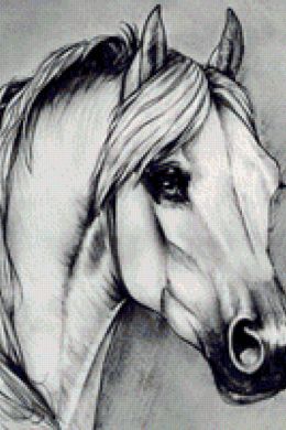 Рисунок коня карандашом