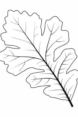 Лист дуба рисунок карандашом
