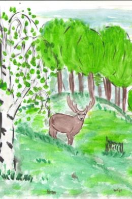 Смешанный лес рисунок карандашом