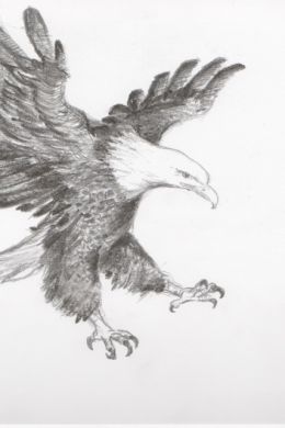 Детский рисунок орла