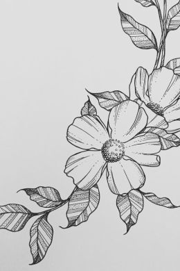 Нарисованный цветок карандашом