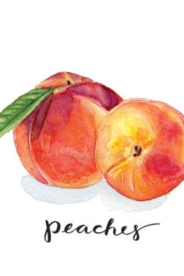 Персик для срисовки