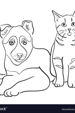 Раскраска кот и собака