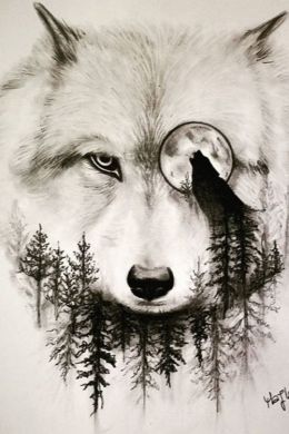 Волк арт для срисовки