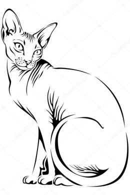 Раскраска кот сфинкс