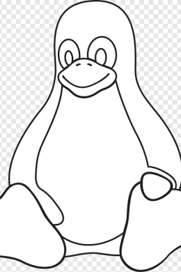 Раскраска пингвиненок лоло