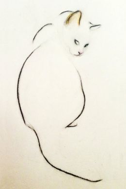 Легкий рисунок кота карандашом
