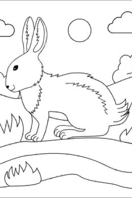 Раскраска заяц в лесу