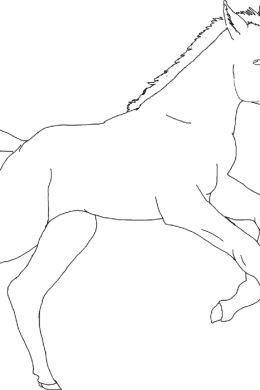 Долговязая лошадь раскраска