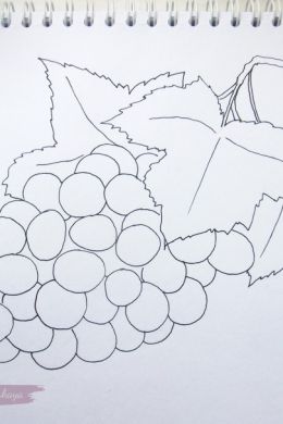 Рисунок винограда карандашом