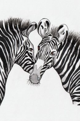 Рисунок зебры карандашом