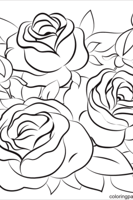 Раскраска розы букет