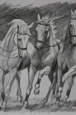 Тройка лошадей рисунок карандашом