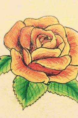 Роза цветок рисунок карандашом