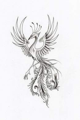 Птица феникс рисунок карандашом