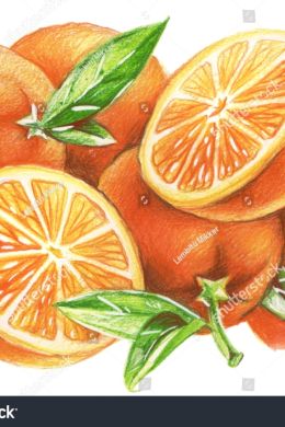 Рисунок апельсина карандашом