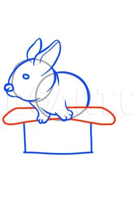 Кролик поэтапно карандашом
