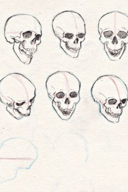 Рисунок черепа карандашом поэтапно