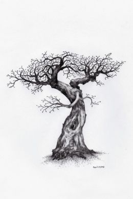Зарисовки деревьев карандашом