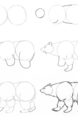 Рисунок медведя карандашом поэтапно
