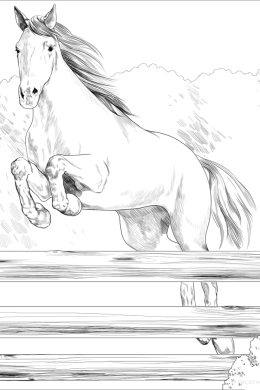 Раскраска коня