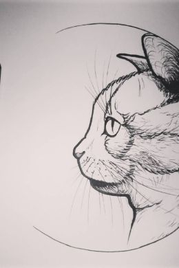 Морда кота карандашом