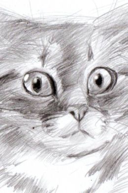 Простой рисунок кота карандашом