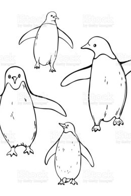 Пингвин рисунок карандашом поэтапно