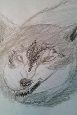 Волк простым карандашом