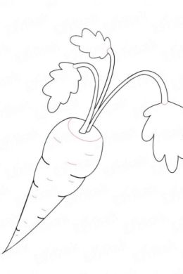 Рисунок морковки карандашом