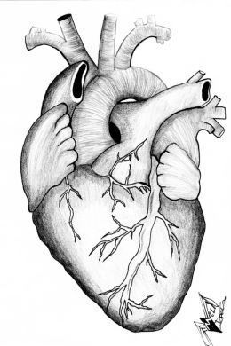 Рисунки сердца карандашом