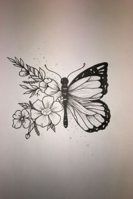 Бабочка на цветке рисунок карандашом