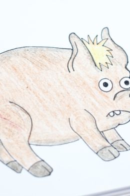 Свинка рисунок карандашом