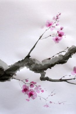 Китайская живопись сакура