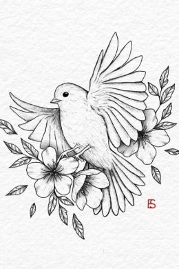 Рисунок карандашом для срисовки птицы
