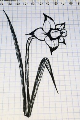 Простые рисунки ручкой