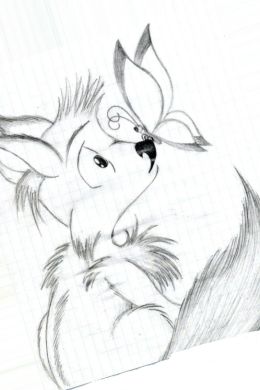 Животные рисунки легкие для срисовки карандашом