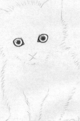 Котенок рисунок карандашом для детей