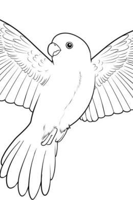 Рисунок голубь для детей карандашом