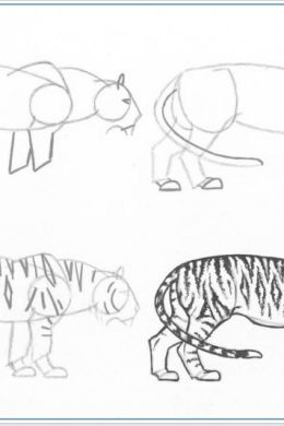 Рисунок тигр поэтапно