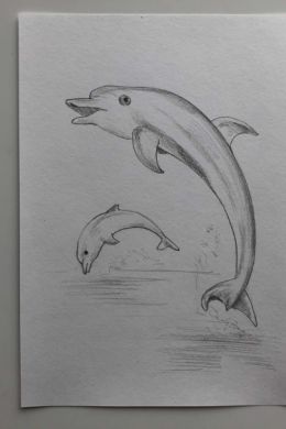 Дельфин рисунок для детей карандашом