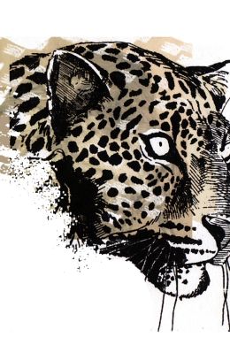 Рисунок карандашом леопард