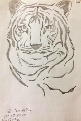 Начинающий легкий рисунок тигра