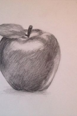 Яблоко рисунок карандашом для срисовки
